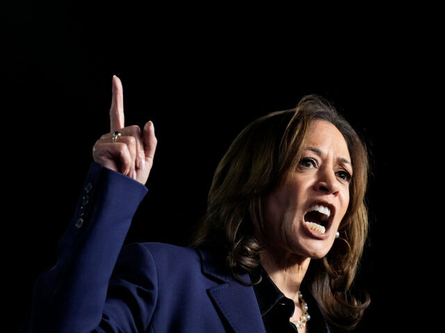 Kamala-Harris-finger-raised-rally-ap-640x480