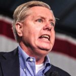 lindsey-graham-rino-788x443