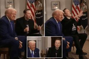 giphy