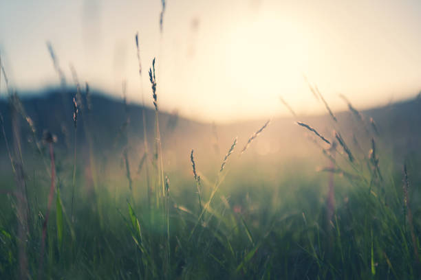 istockphoto-1322277517-612x612